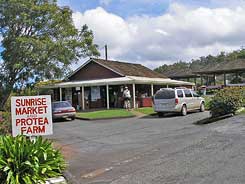 Sunrise Market photo by Karl Schilling