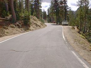 tomattop.jpg (20352 bytes)