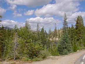 ebbetts lake2.jpg (18368 bytes)