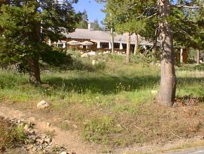 lake alpine lodge.jpg (23965 bytes)