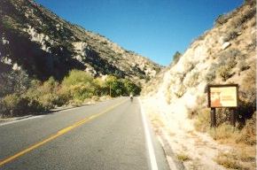 monitorpass.jpg (14188 bytes)