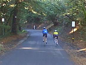 oldlahondaclimb1.jpg (12476 bytes)