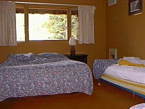 room view.jpg (21920 bytes)