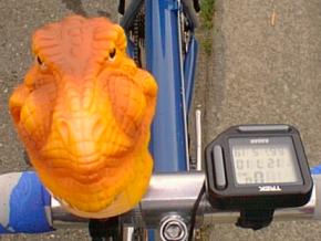 tandemstokerhorn2.jpg (13098 bytes)