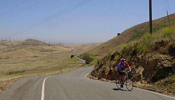 tomattop.jpg (20352 bytes)