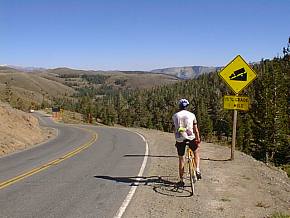 toplookingeast.jpg (13345 bytes)