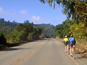 tosangregorio2.jpg (11951 bytes)