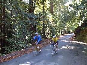 tunitas2.jpg (17806 bytes)