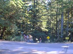 tunitastop.jpg (14972 bytes)