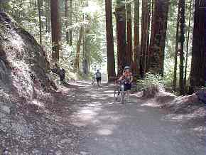 One of the few real hills on the ride