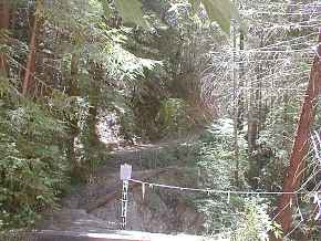 Another narrow spot on the trail