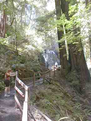 Approaching Berry Falls
