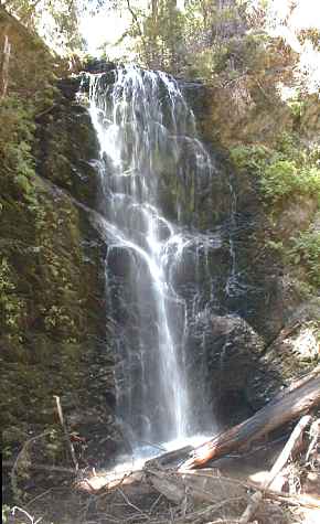 Berry Falls